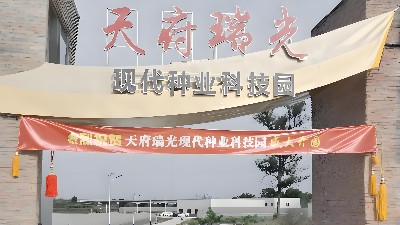 四川天府瑞光（種都高科）農業科技園弱電工程項目
