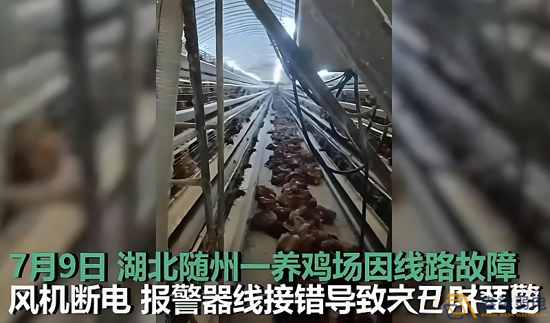 養雞場為什么要24h監測溫濕度斷電報警器？